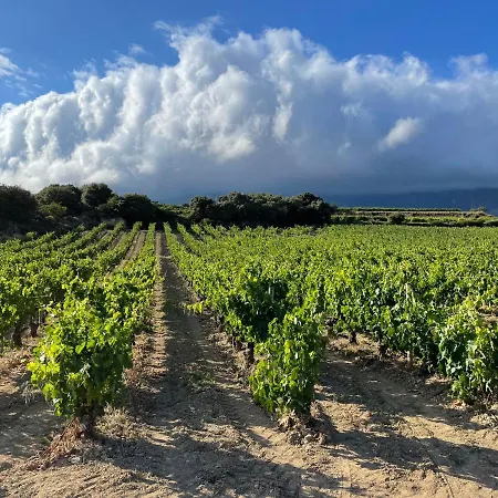 Four Bedroom With Private Pool In The Heart Of Rioja Alavesa *