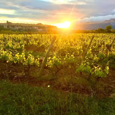 Four Bedroom With Private Pool In The Heart Of Rioja Alavesa Chalé