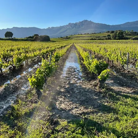 Chalé Four Bedroom With Private Pool In The Heart Of Rioja Alavesa *