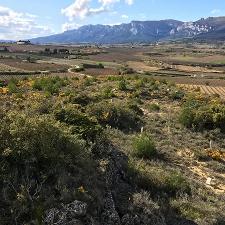 Four Bedroom With Private Pool In The Heart Of Rioja Alavesa La Guardia