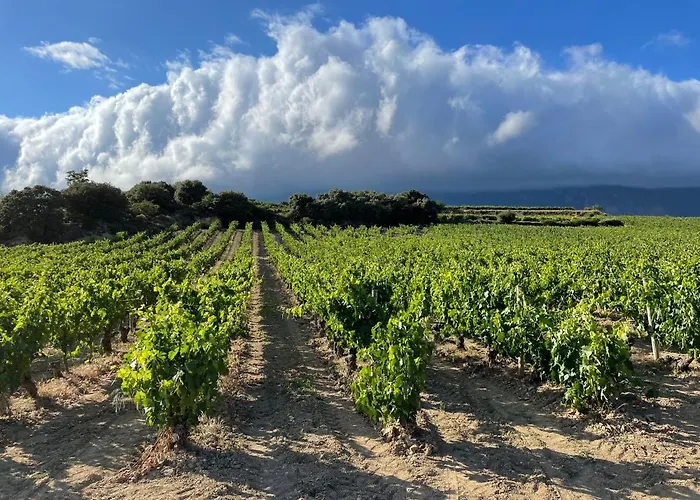 Four Bedroom With Private Pool In The Heart Of Rioja Alavesa *