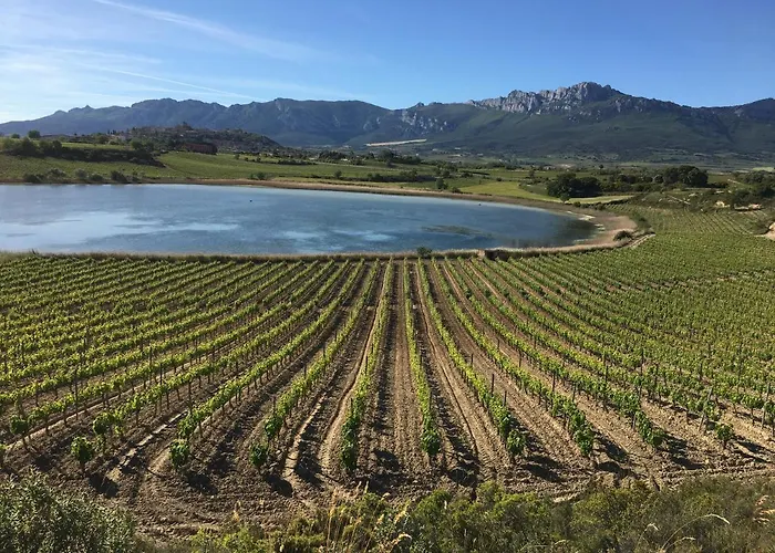 Chalet Four Bedroom With Private Pool In The Heart Of Rioja Alavesa