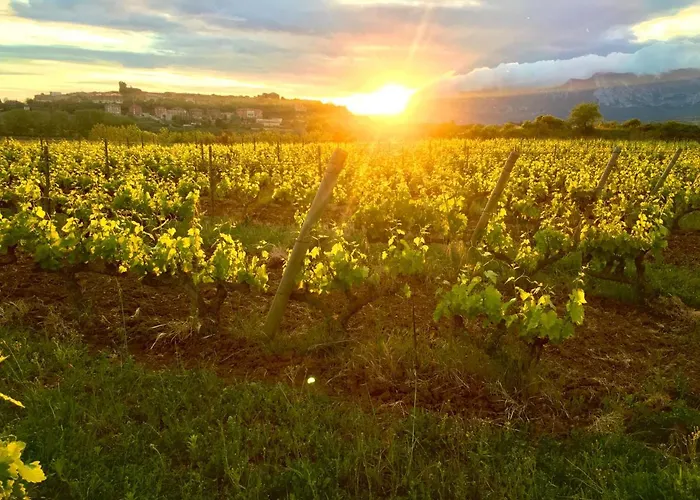 Four Bedroom With Private Pool In The Heart Of Rioja Alavesa Chalet