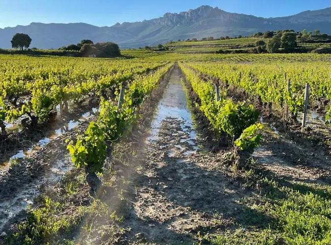 Chalet Four Bedroom With Private Pool In The Heart Of Rioja Alavesa *