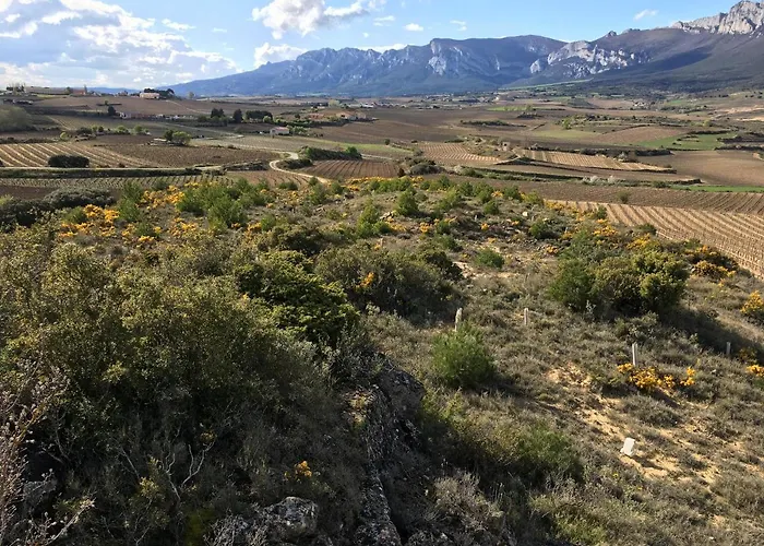 Four Bedroom With Private Pool In The Heart Of Rioja Alavesa Laguardia