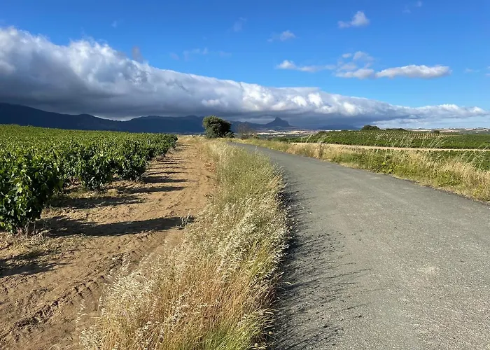 Chalet Four Bedroom With Private Pool In The Heart Of Rioja Alavesa